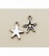 COLG. ESTRELLA DE MAR